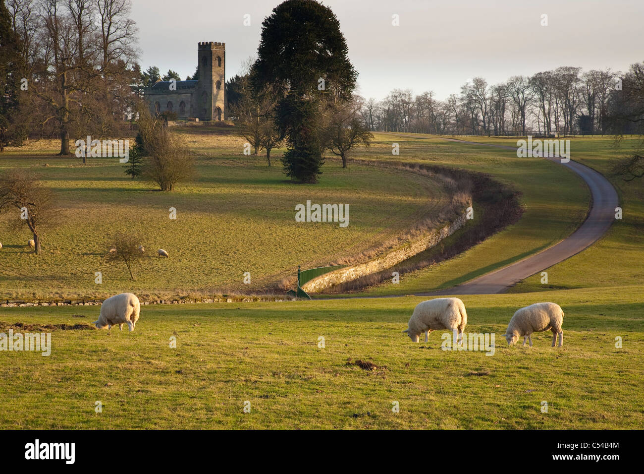 Die Kirche in Calke Abbey Stockfoto