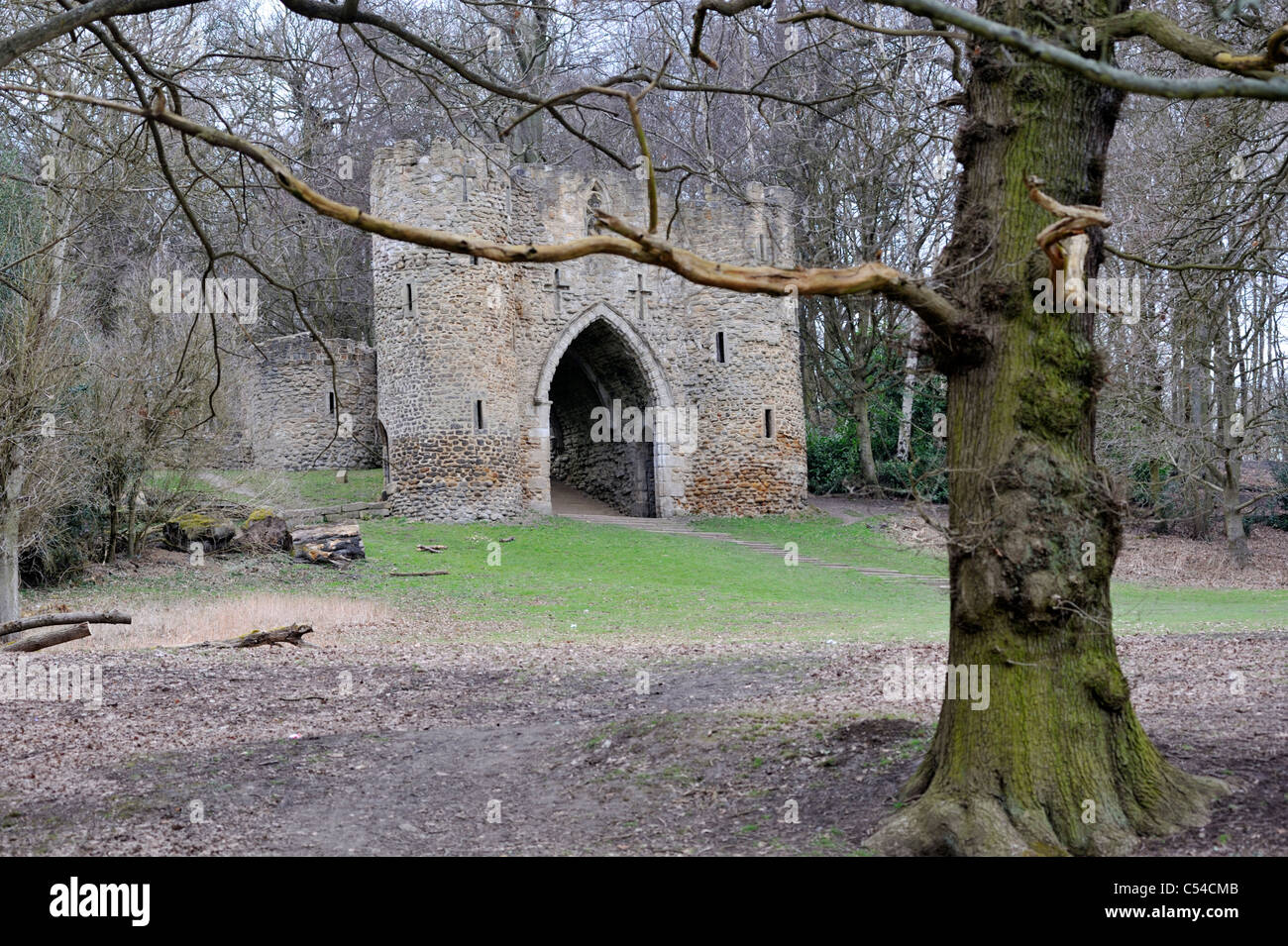 Schloss Torheit hinter Bäumen, Roundhay Park, Leeds, West Yorkshire, Großbritannien Stockfoto