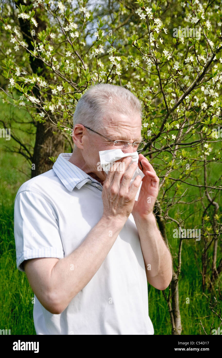 Mann mit Taschentuch, Heuschnupfen, Allergien Stockfoto