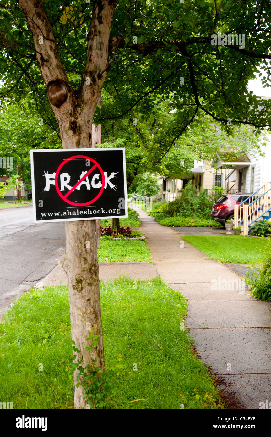 Anti-Fracking-Platte auf dem Baum, New York State, USA Stockfoto