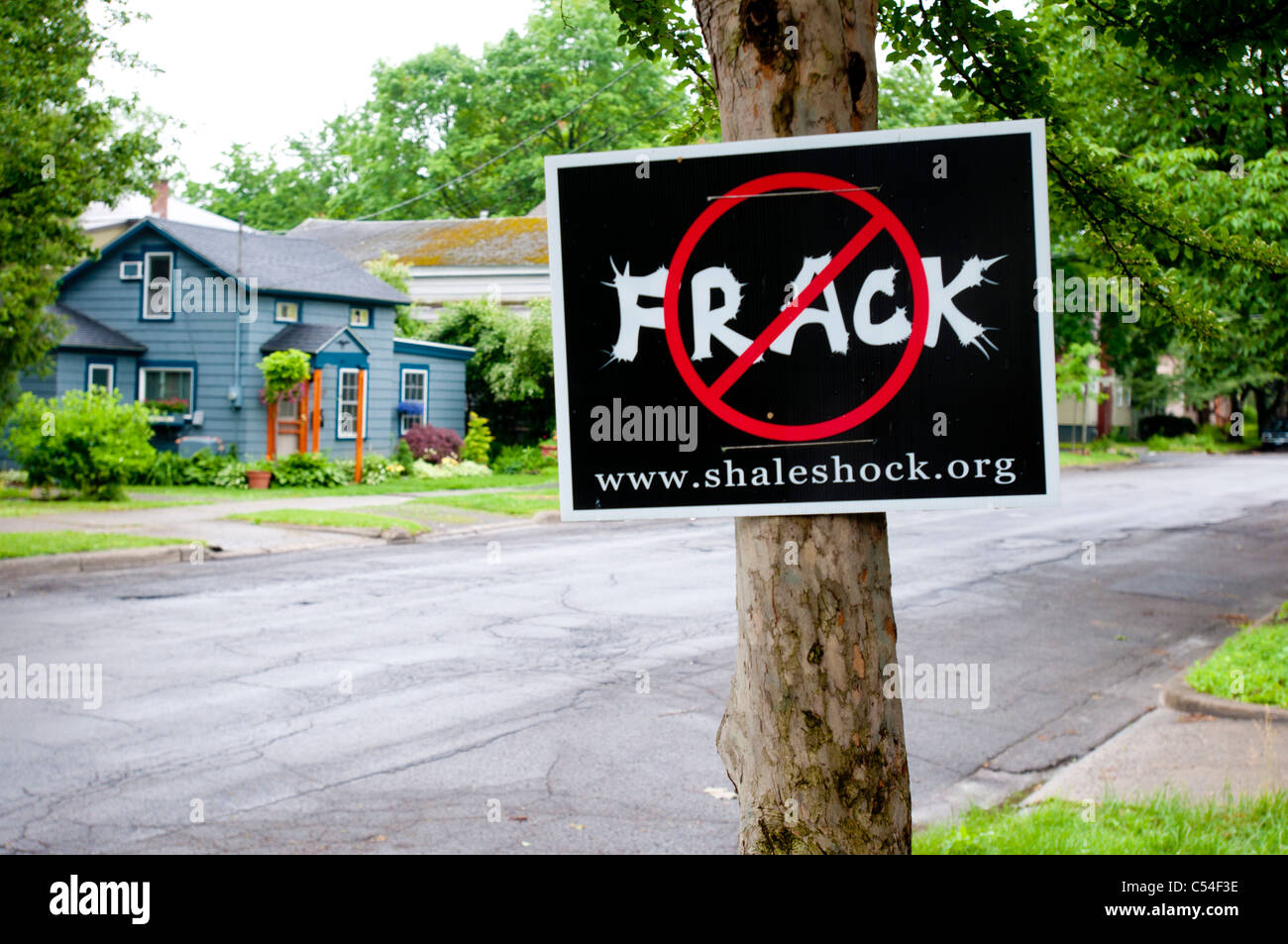 Anti-Fracking-Platte auf dem Baum, New York State, USA Stockfoto