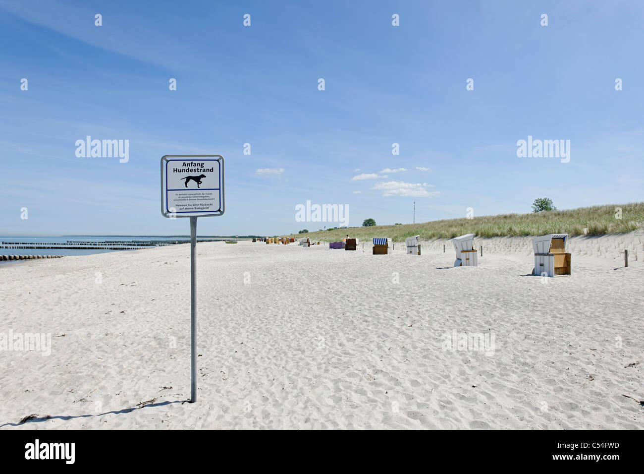 Melden Sie den Hund Strand von Ahrenshoop, Fischland-Darß-Zingst-Halbinsel,  Ostsee, Nord-Vorpommern Bezirk, Mecklenburg Stockfotografie - Alamy