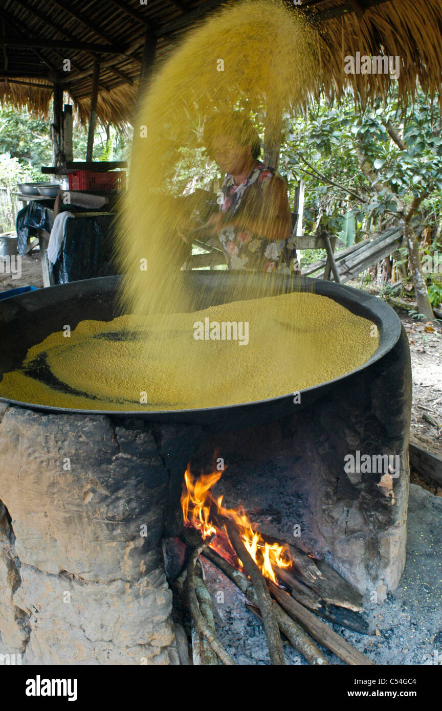 Casa de Farinha im Regenwald des Amazonas. Herstellung von Maniokmehl zu Hause, kulturelle Tradition. Stadt Borba, am Rand des Flusses Madeira, Staat Amazonas, Brasilien. Stockfoto