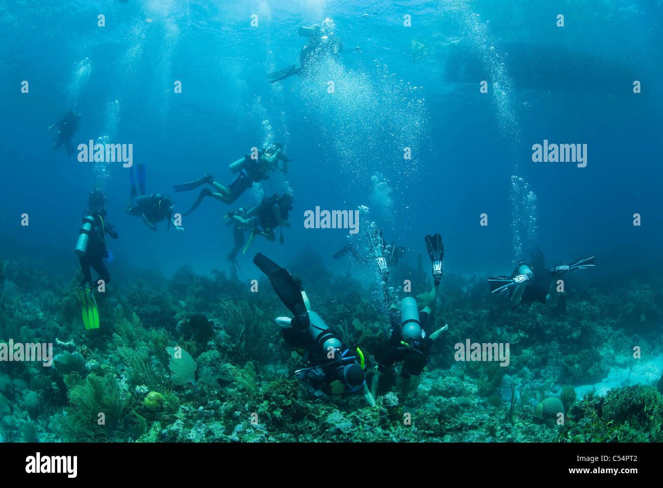 Tauchgruppe Beim Sicherheitsstopp Oder Dekompressionsstopp, Tauchgruppe an der Sicherheits-stop Stockfoto