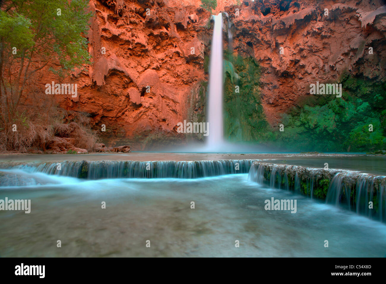 Wasserfall in einem Wald, Mooney Fälle Havasu Canyon, Grand Canyon National Park, Arizona, USA Stockfoto