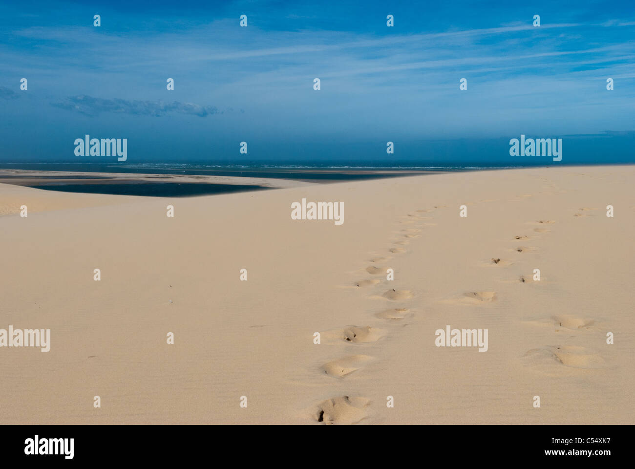 Die Sanddünen in Pyla in Frankreich sind die größten Sanddünen in Europa Stockfoto