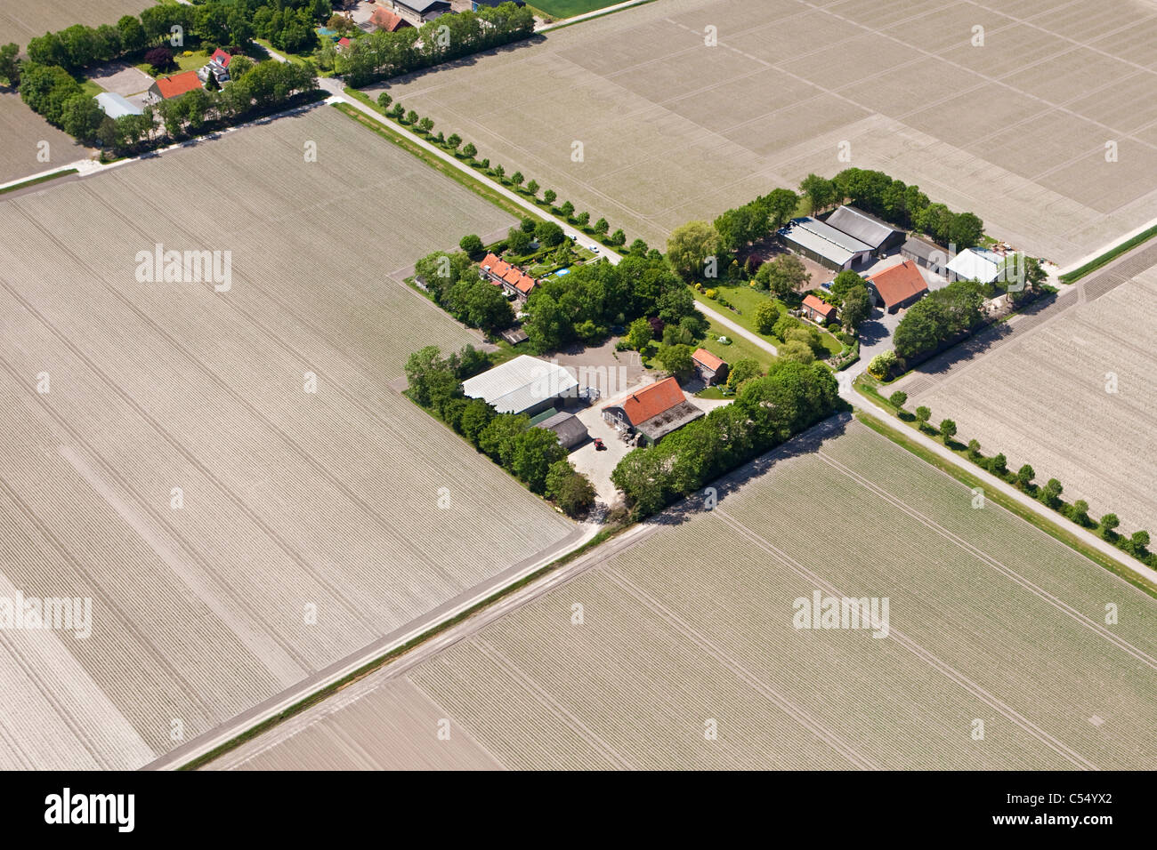 Niederlande, Ens, Farmen und Ackerland in Polderlandschaft. Luftbild Stockfoto