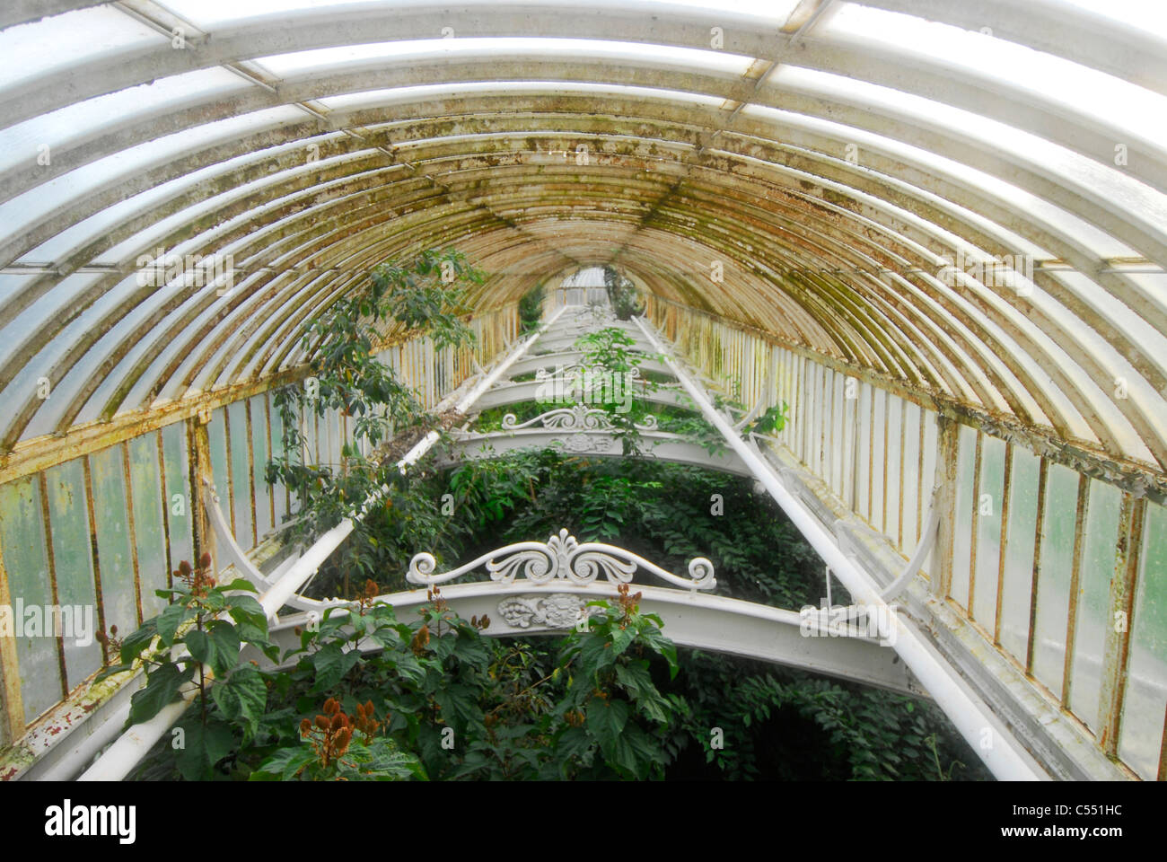 Blick vom Balkon, Palmenhaus, Kew Gardens, Middlesex, UK Stockfoto