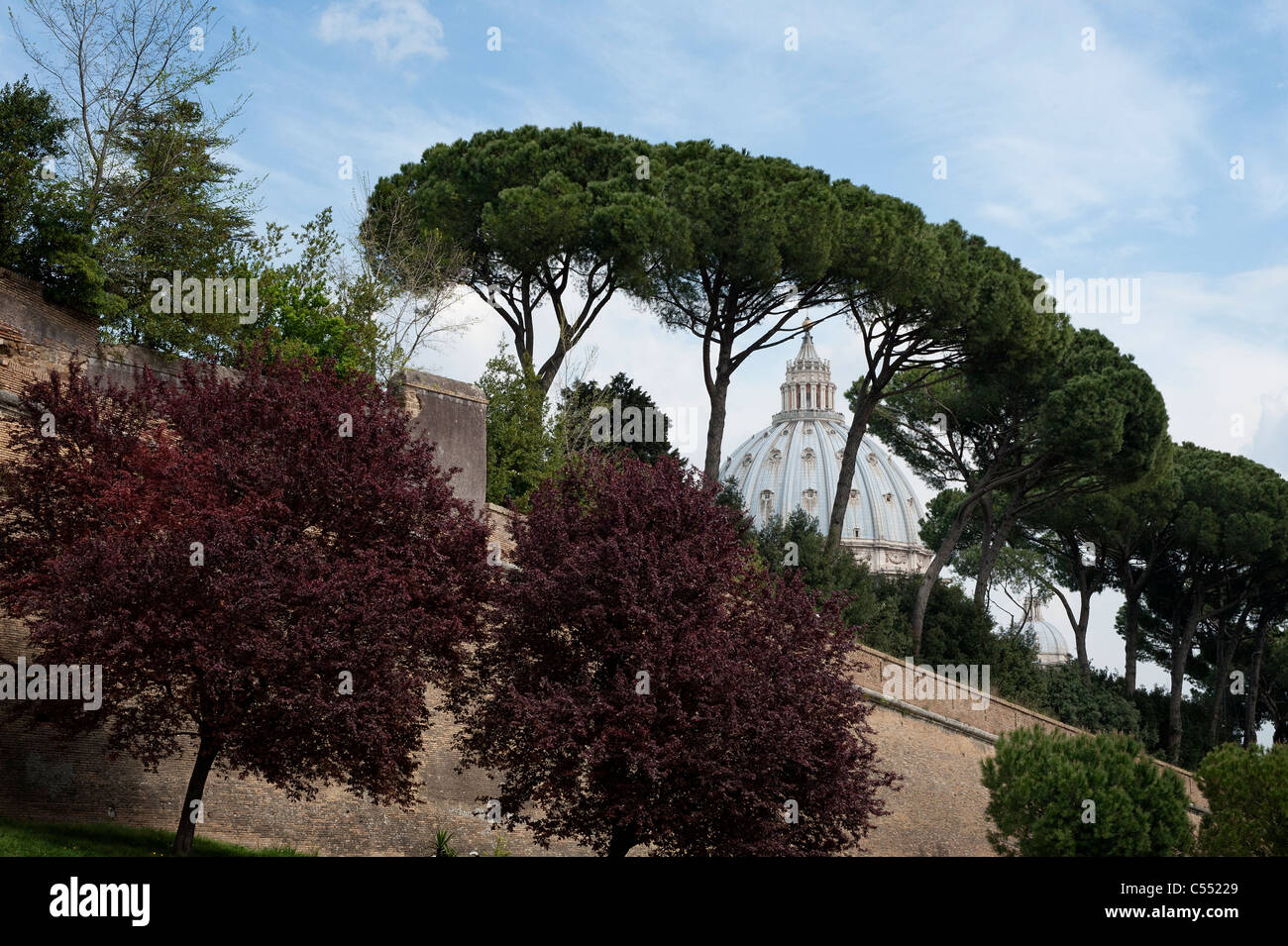 Ein Blick auf die Kuppel der St Peters In Rom von außerhalb der Vatikanstadt Stockfoto