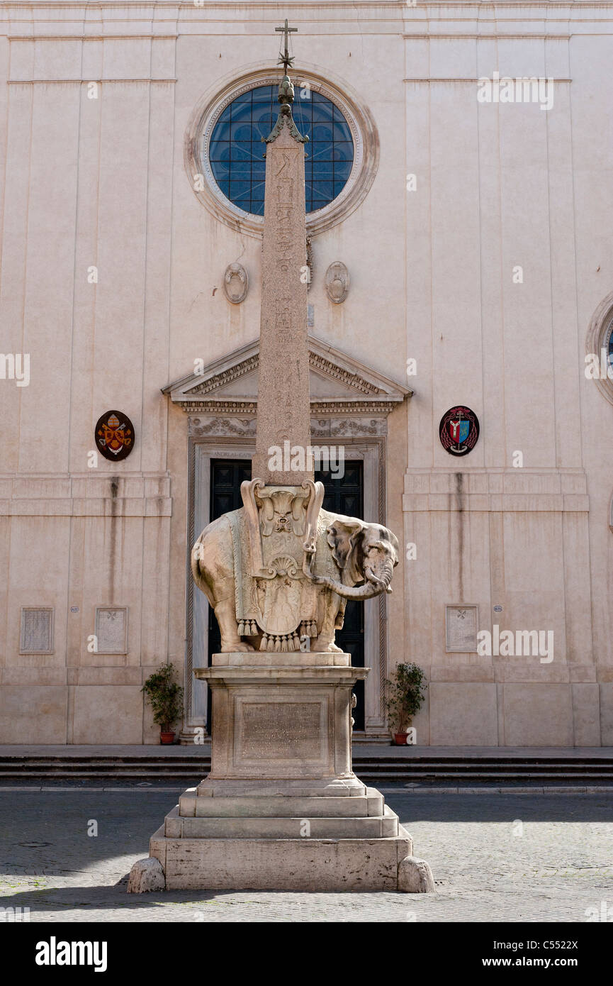 Pulcino della Minerva Stockfoto