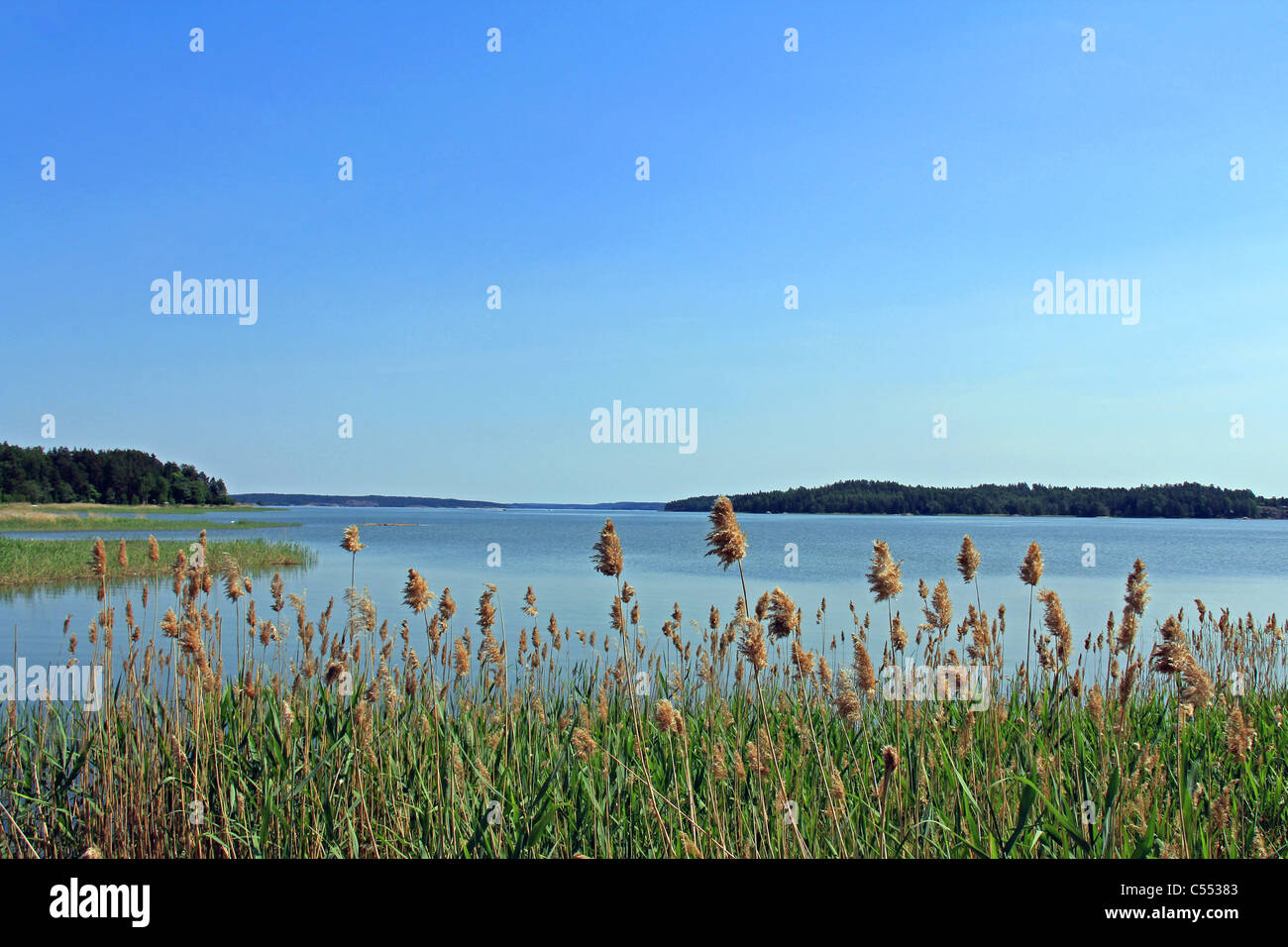Tiefblaues Meer und Himmel im Süden von Finnland Stockfoto