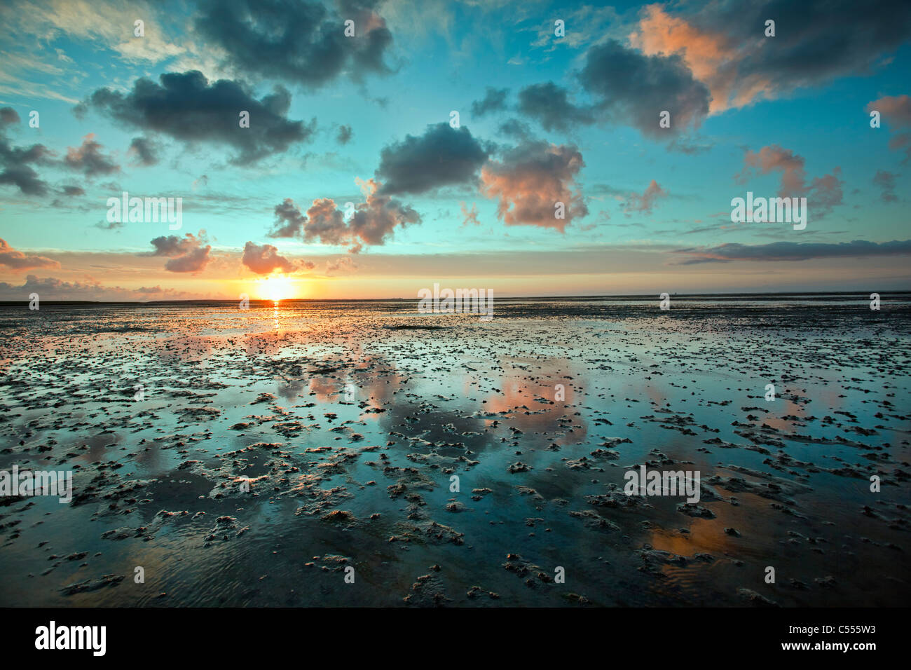 Die Niederlande, Buren, Ameland Insel, gehört zum Wadden Sea Islands. UNESCO-Weltkulturerbe. Watten. Sunrise. Stockfoto