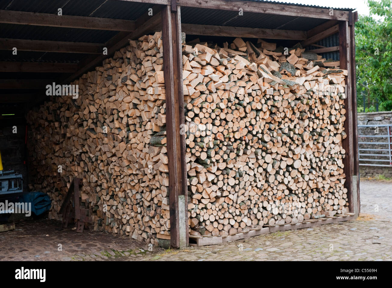 Brennholz in Bauernhof Schuppen gespeichert. Stockfoto