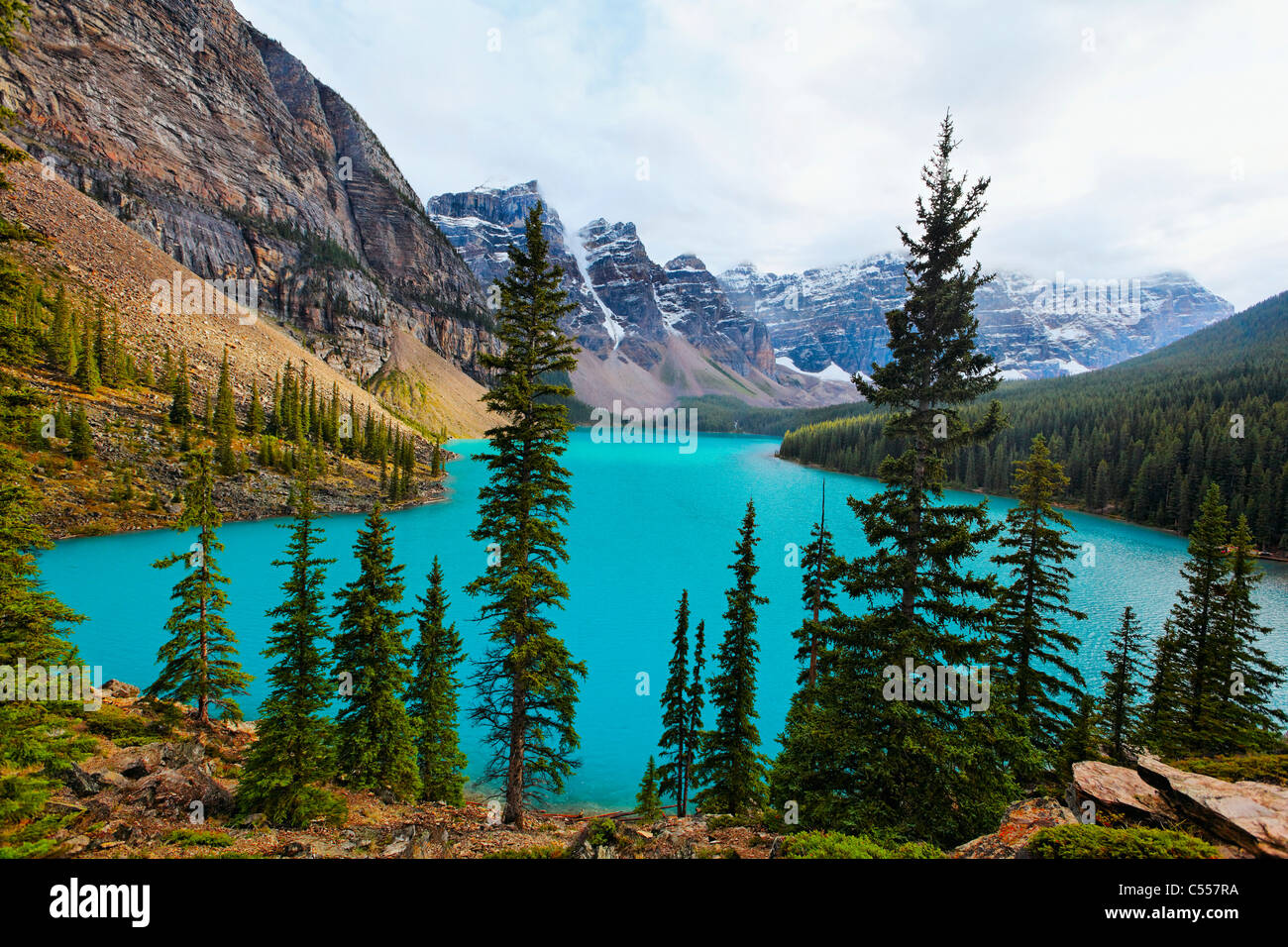 Kanada, Alberta, Kanada, Chipmunk auf Felsen Stockfoto