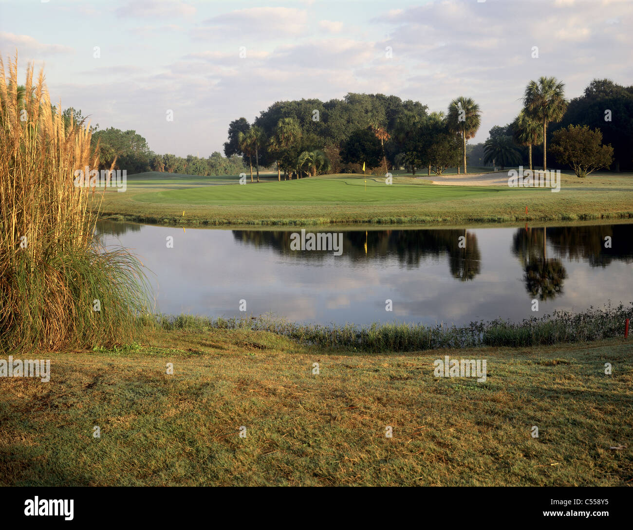 Blick auf Golfplatz und Teich Stockfoto