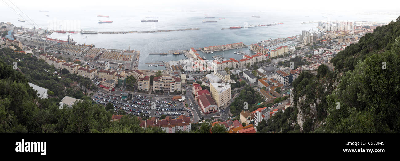 Blick von oben auf den Felsen von Gibraltar über die Stadt und die Bucht mit Schiffen im Hafen, Gebäude und Wald. Stockfoto