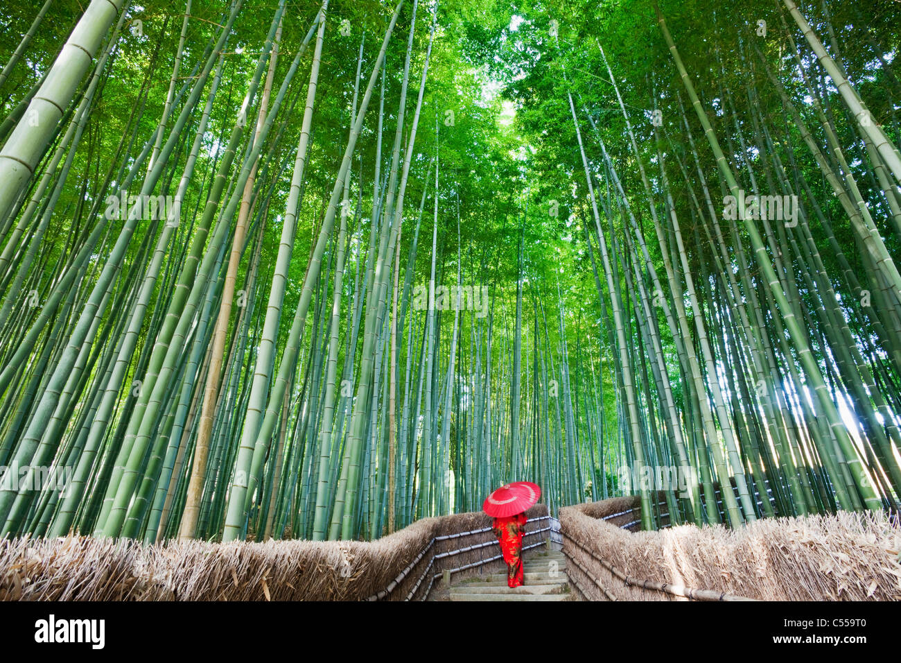 Frau zu Fuß in einem Bambuswald Adashino-Nenbutsu-Ji-Tempel, Arashiyama, Kyoto Prefecture, Kinki Region Honshu, Japan Stockfoto