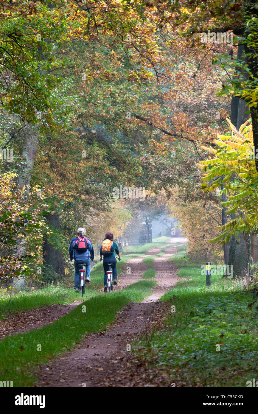 Die Niederlande, Winterswijk, Herbstfärbung, Bäume, Landstraße. Paar, Radfahren. Stockfoto