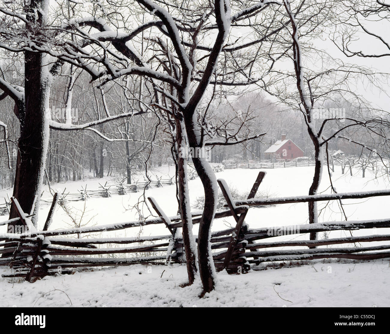 Docht Farm Morristown New Jersey USA Stockfoto