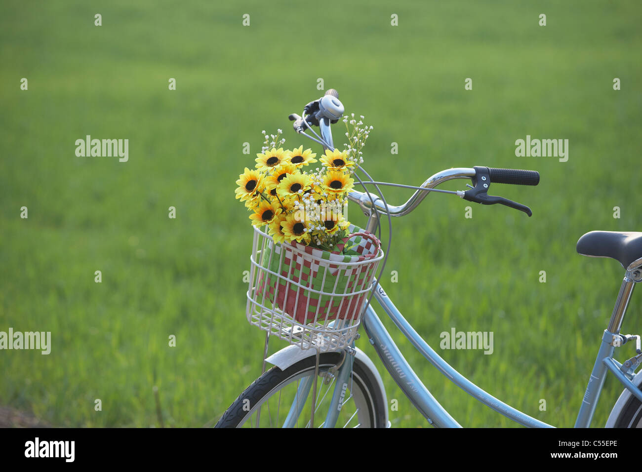 Ein Fahrrad mit Sonnenblumen Stockfoto