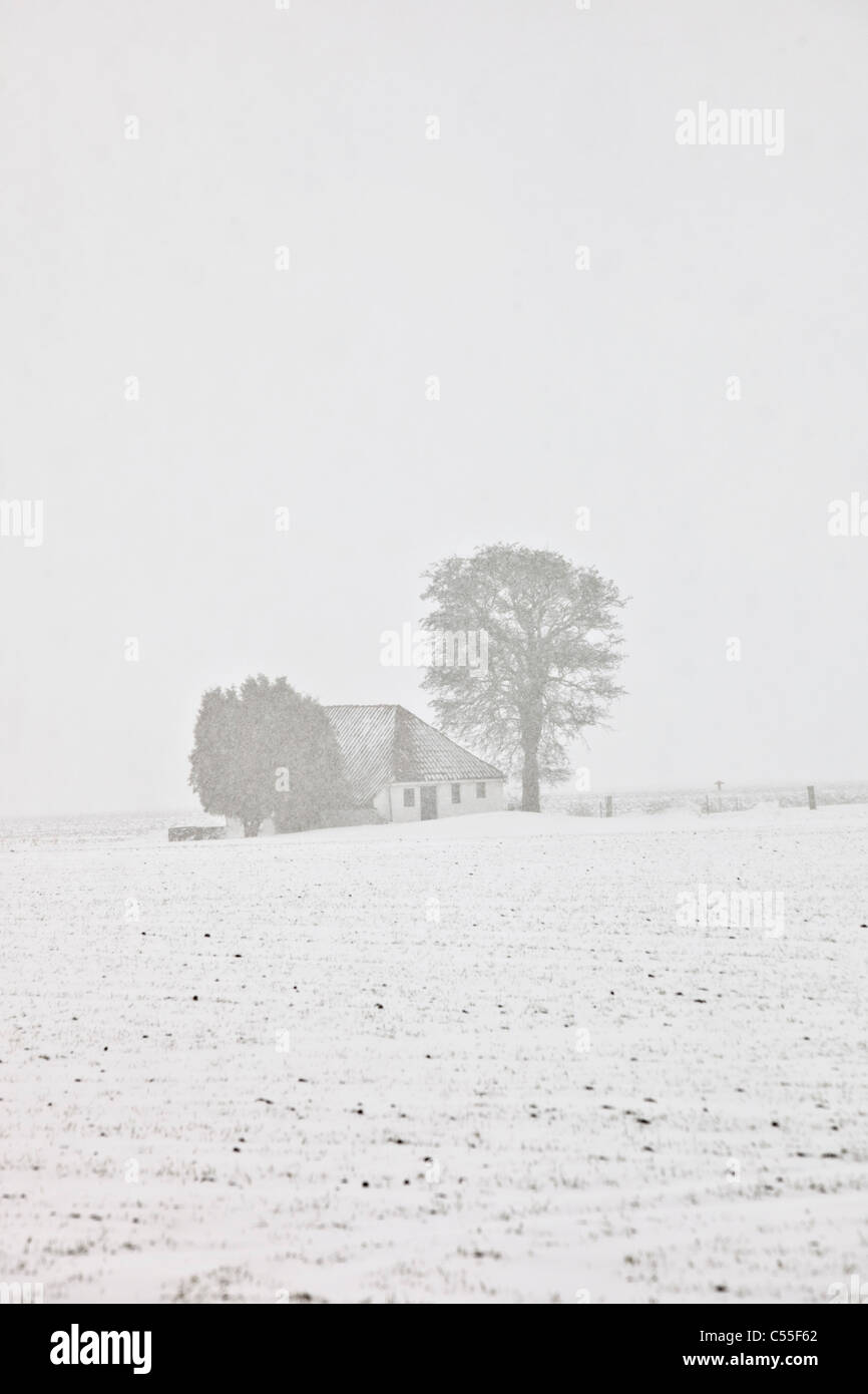 Den Niederlanden, Warffum, kleinen Bauernhof im Schneesturm Stockfoto
