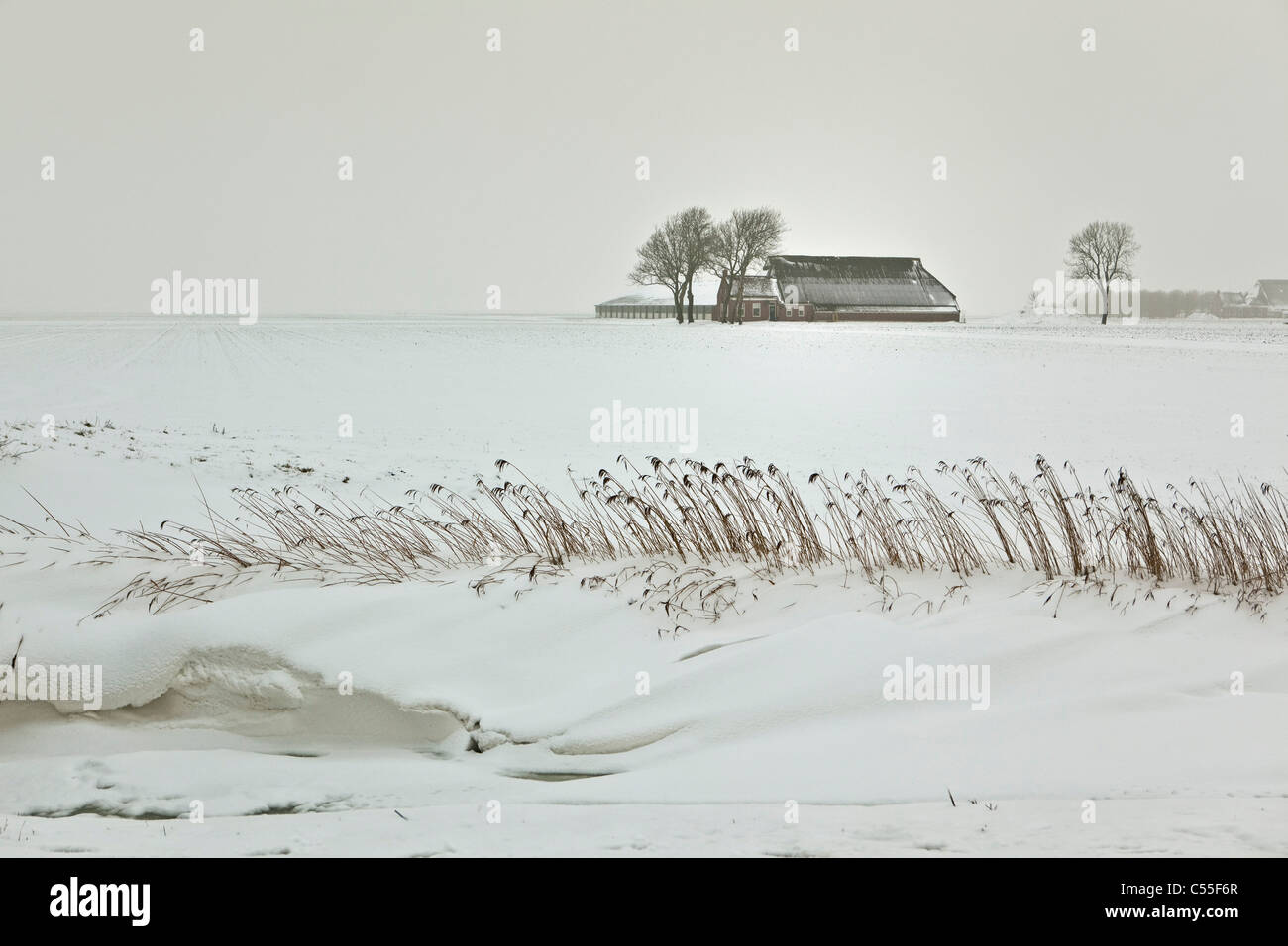 Niederlande, Uithuizen, Schnee im Kanal mit Bauernhof im Hintergrund. Stockfoto