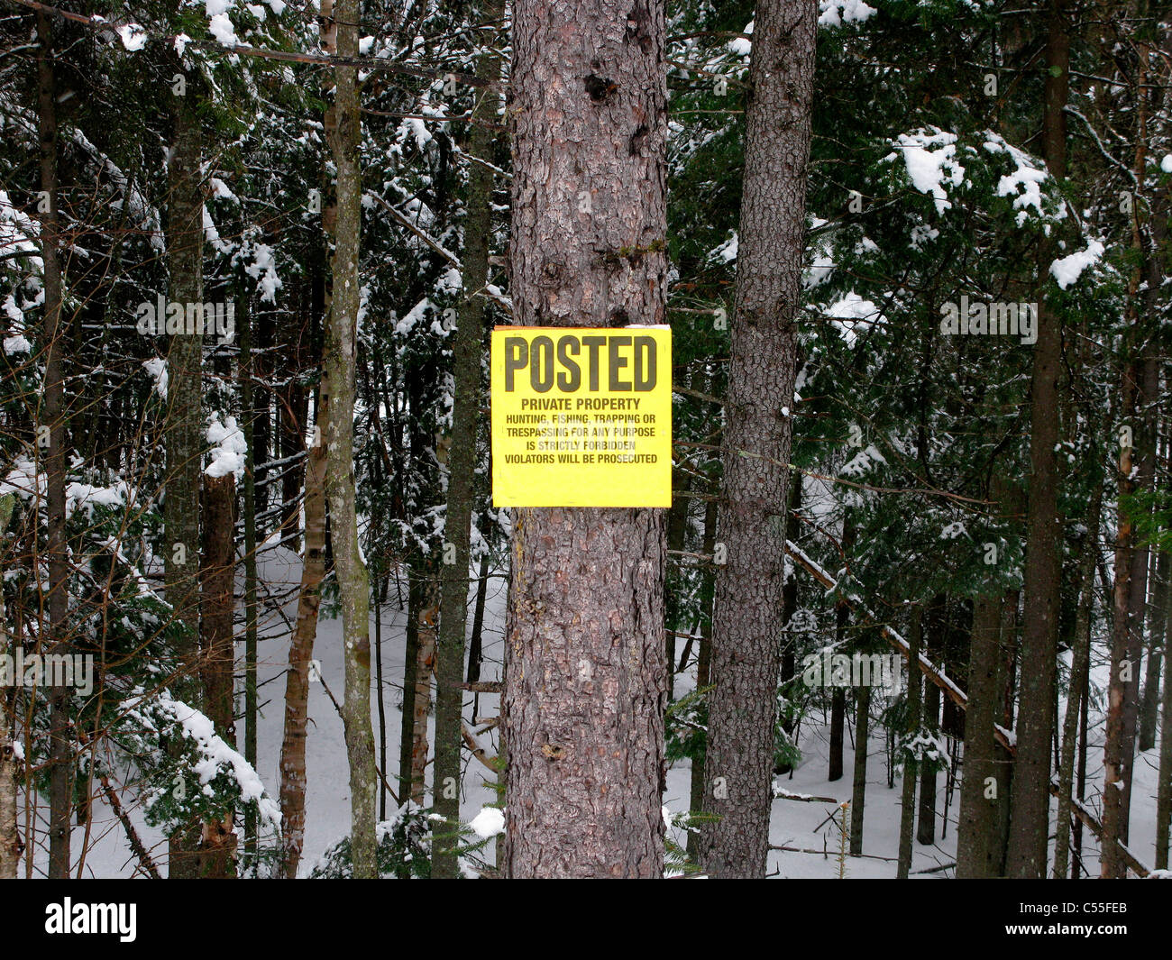 Gepostet von Privateigentum Zeichen auf einem Baum im Wald Stockfoto