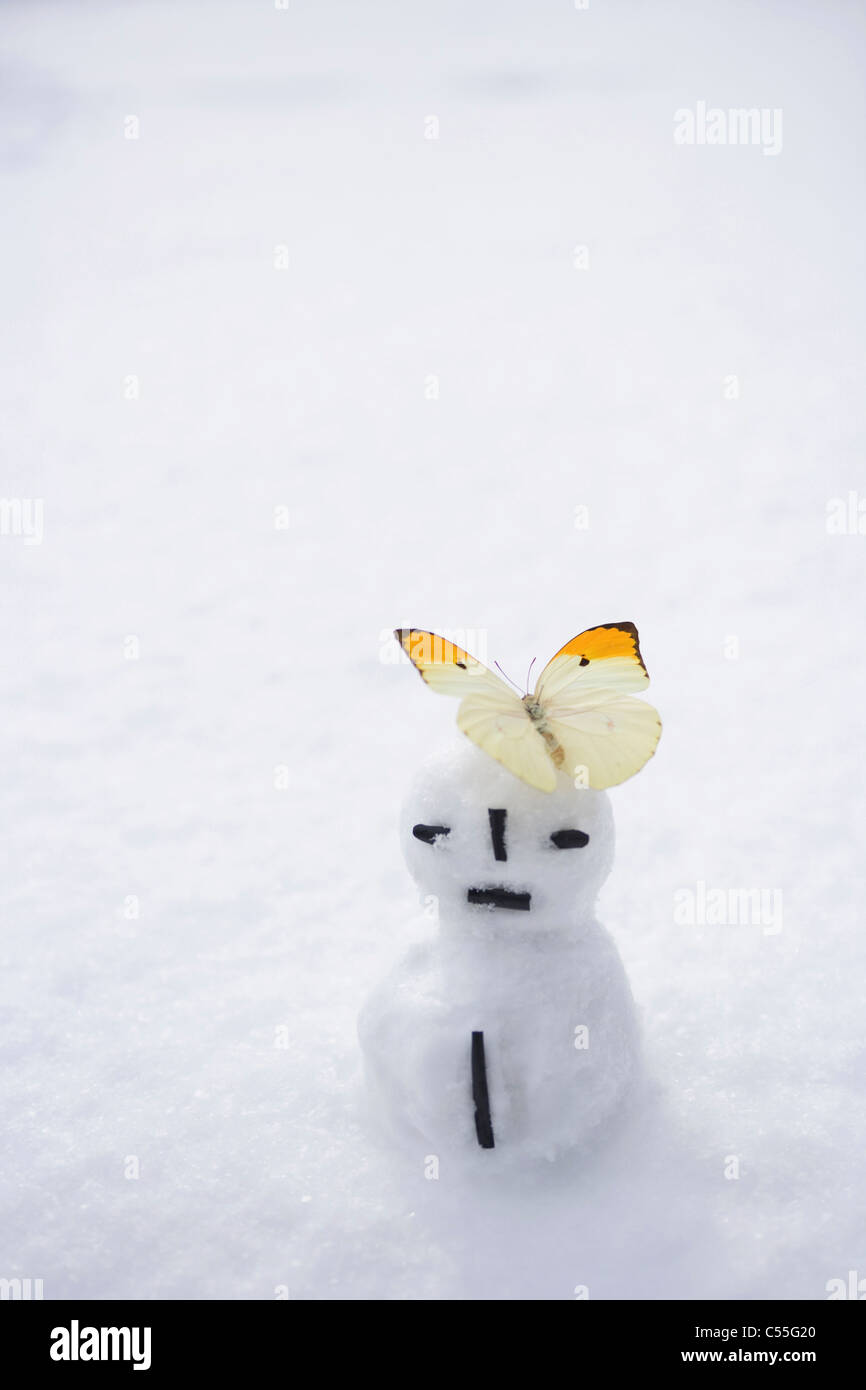 Schmetterling landete auf Schneemann Stockfoto