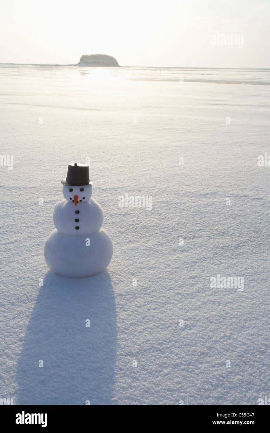Schneemann im Schneefeld Stockfoto