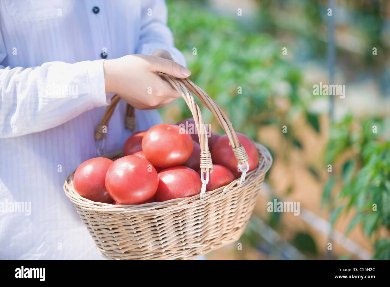 Frau mit Korb, mit Tomaten voll Stockfoto