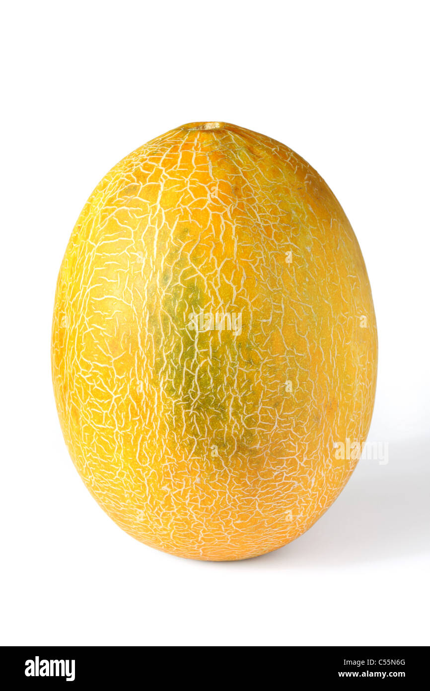 Hier wird die Melone dargestellt vertikal stehend auf einem weißen Hintergrund Stockfoto