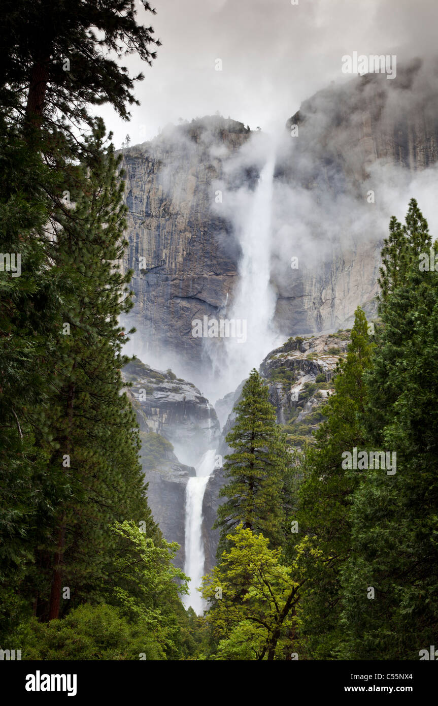 Yosemite oberen fällt Yosemite Nationalpark Valley Kalifornien USA Stockfoto
