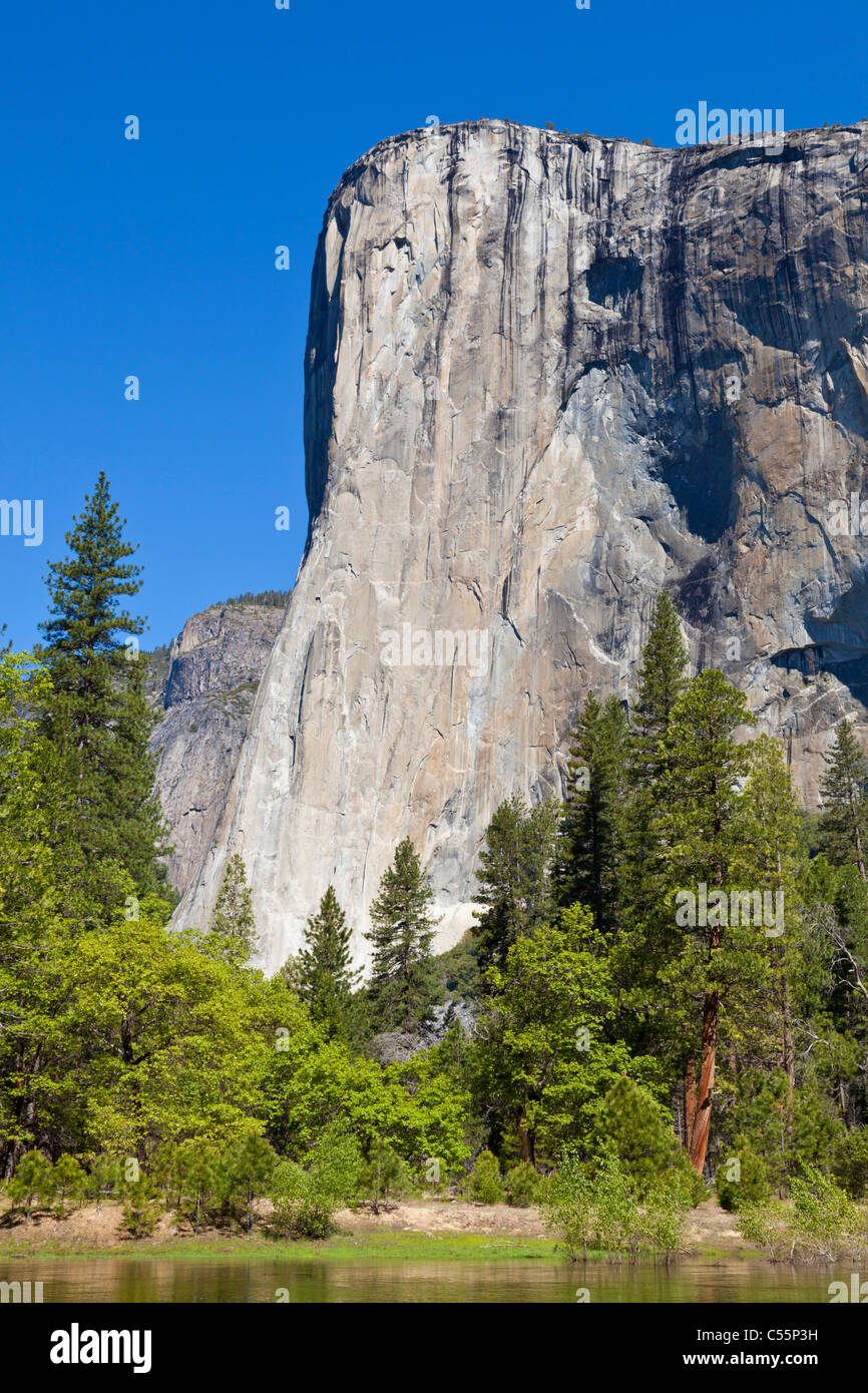 Yosemite-Nationalpark El Capitan mit dem Merced River fließt durch das Yosemite Valley Yosemite Nationalpark Kalifornien Stockfoto