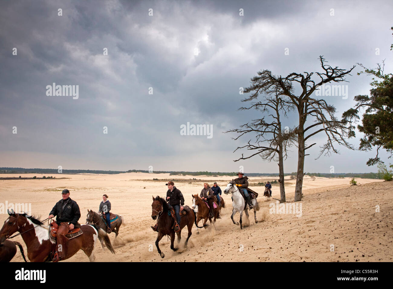Den Niederlanden, Loon Op Zand, Nationalpark De Loonse En Drunense Duinen. Menschen Reitpferde in Sand Landschaft. Stockfoto