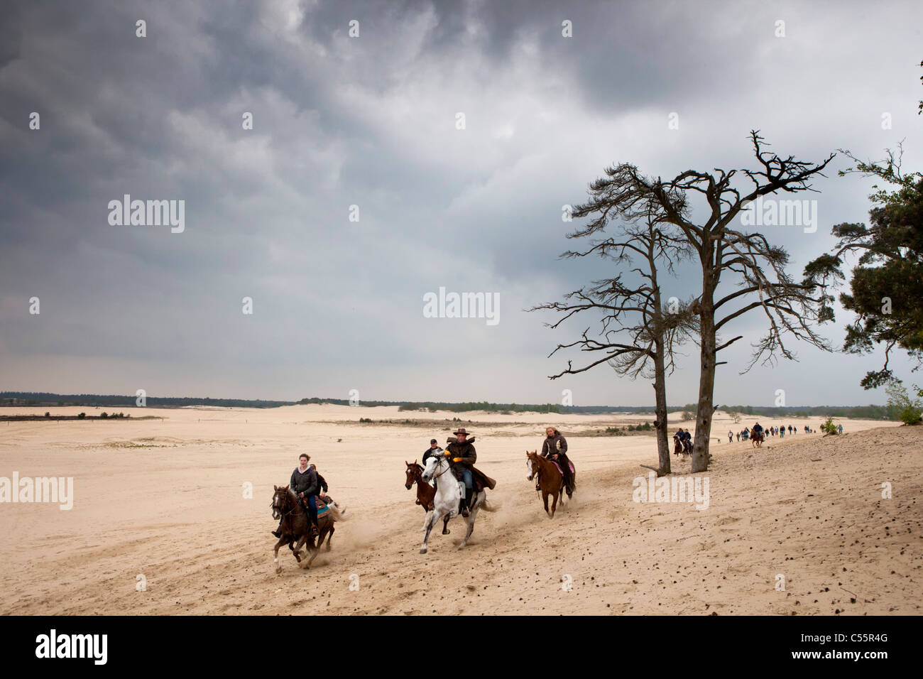 Den Niederlanden, Loon Op Zand, Nationalpark De Loonse En Drunense Duinen. Menschen Reitpferde in Sand Landschaft. Stockfoto