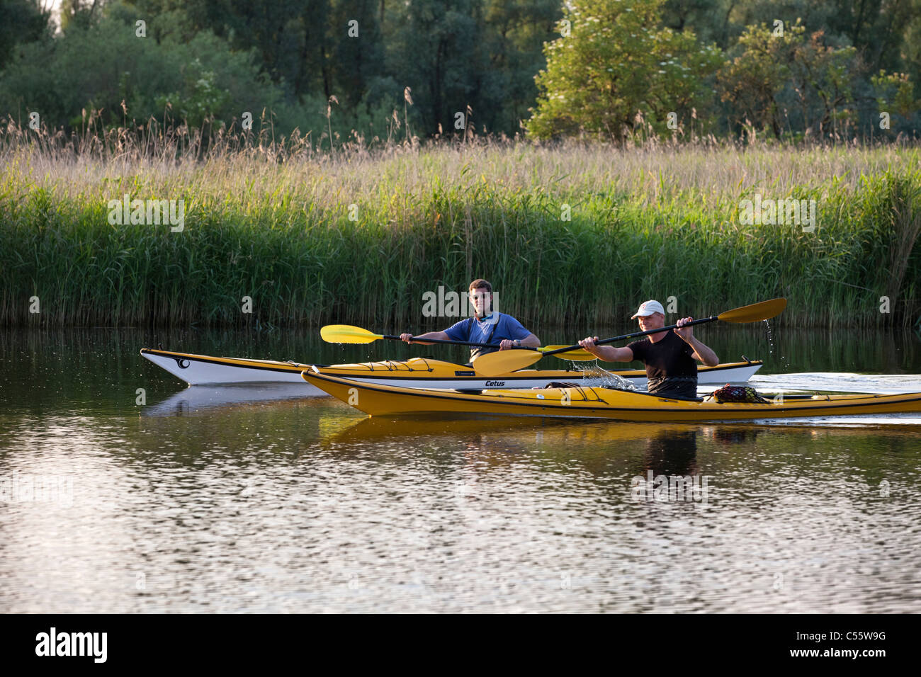 Den Niederlanden, Werkendam, De Biesbosch Nationalpark. Personen Kajak. Stockfoto