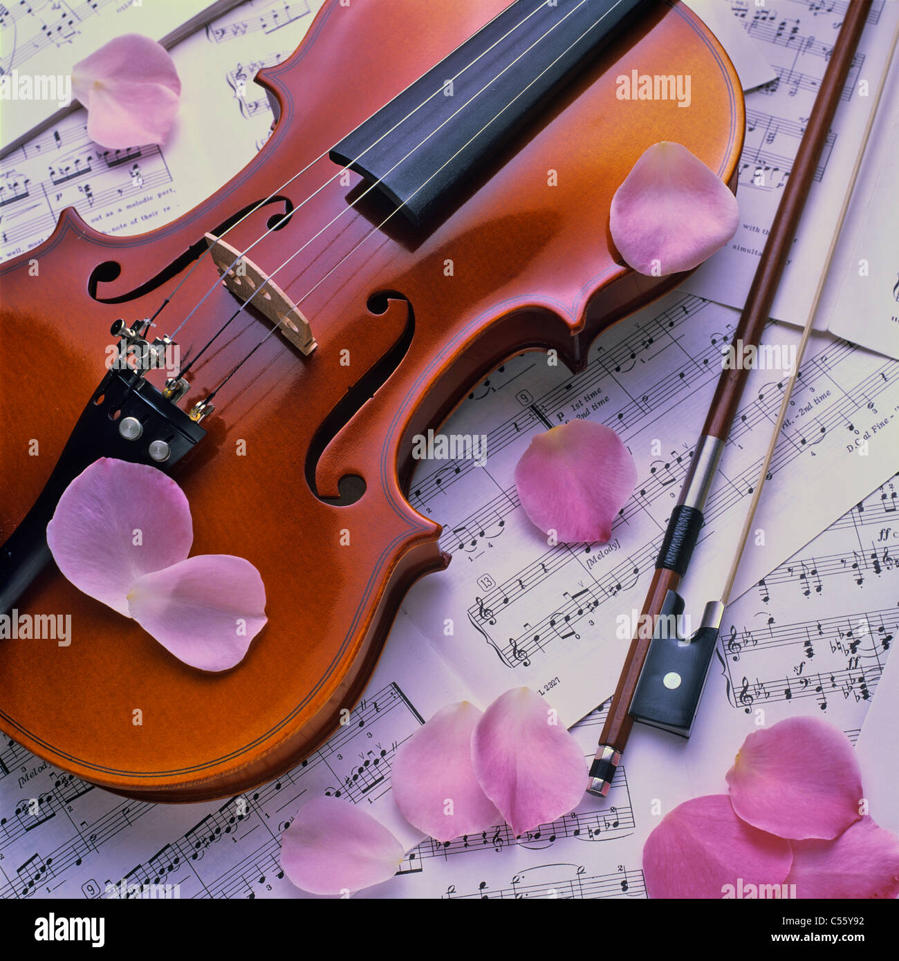 Violine mit Noten und Rosenblüten Stockfoto