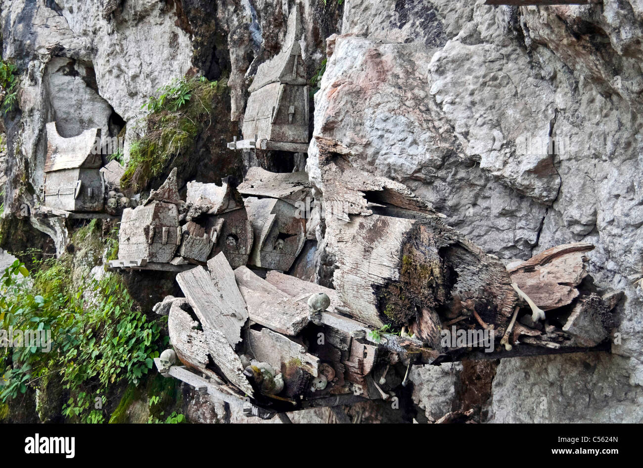 Holzsärge mit Knochen in einer Beerdigung Toraja Klippe Stockfoto