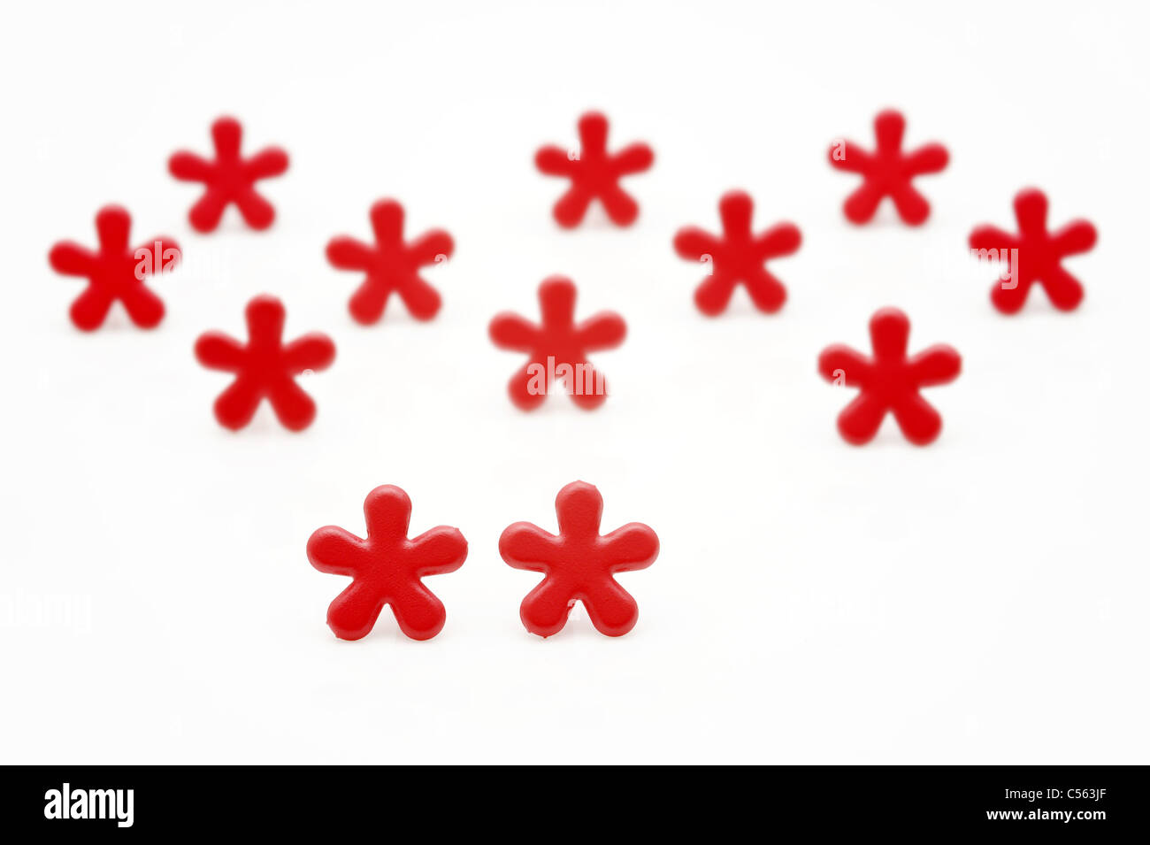 Blütenblätter, die isoliert auf weißem Hintergrund Stockfoto