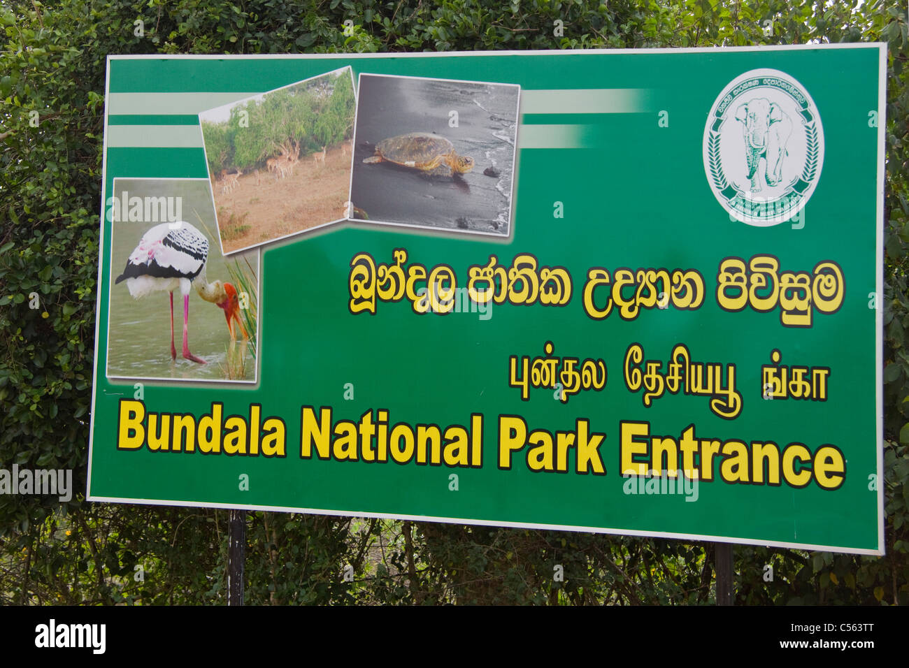 Melden Sie außen Bundala Nationalpark SriLanka (Ceylon) Stockfoto