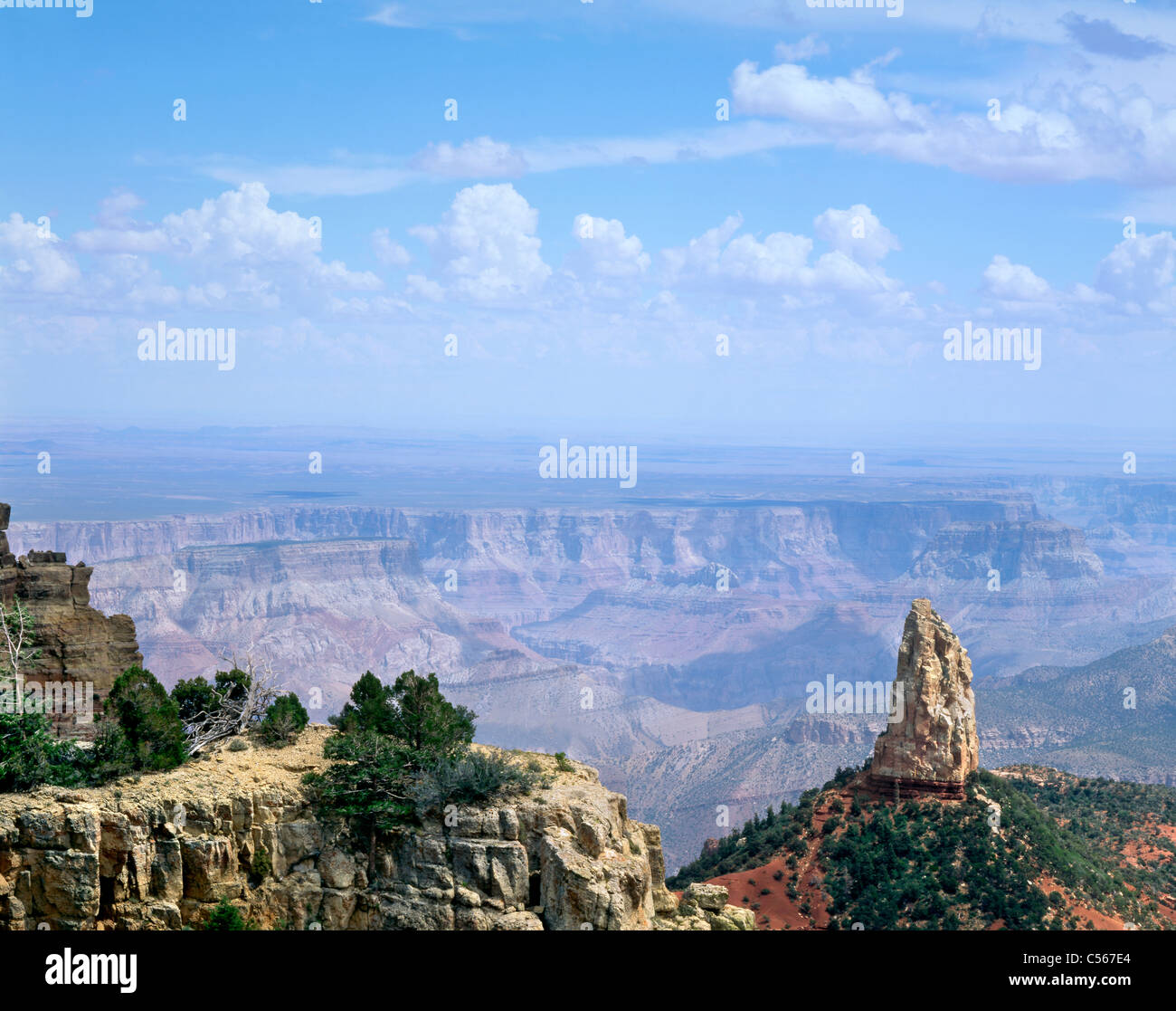 Der Point Imperial Aussichtspunkt am Nordrand des Grand Canyon National Park, Arizona, USA, Stockfoto