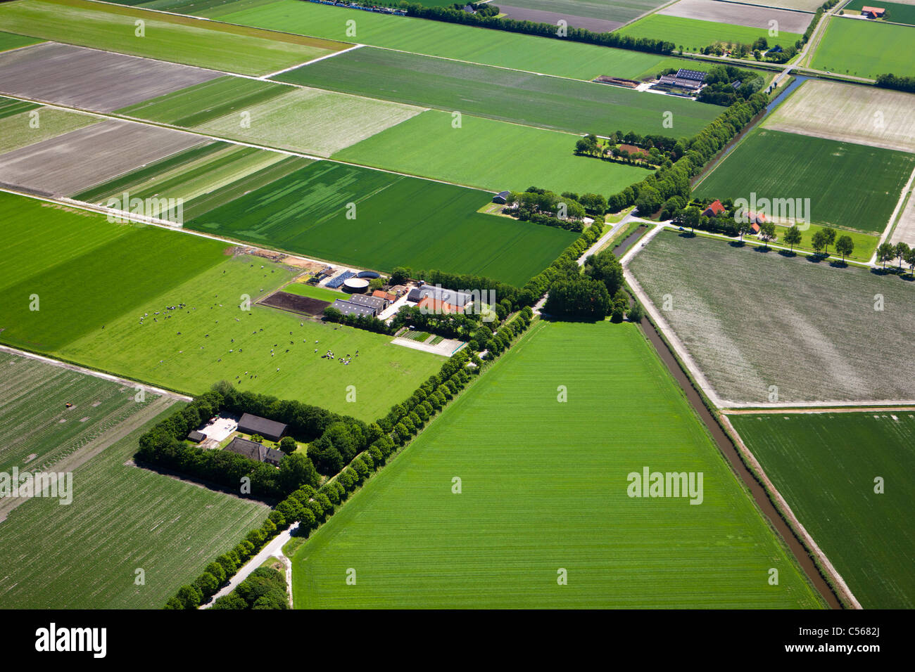 Die Niederlande, Den Oever, Farmen und Ackerland im Polder. Luft. Stockfoto