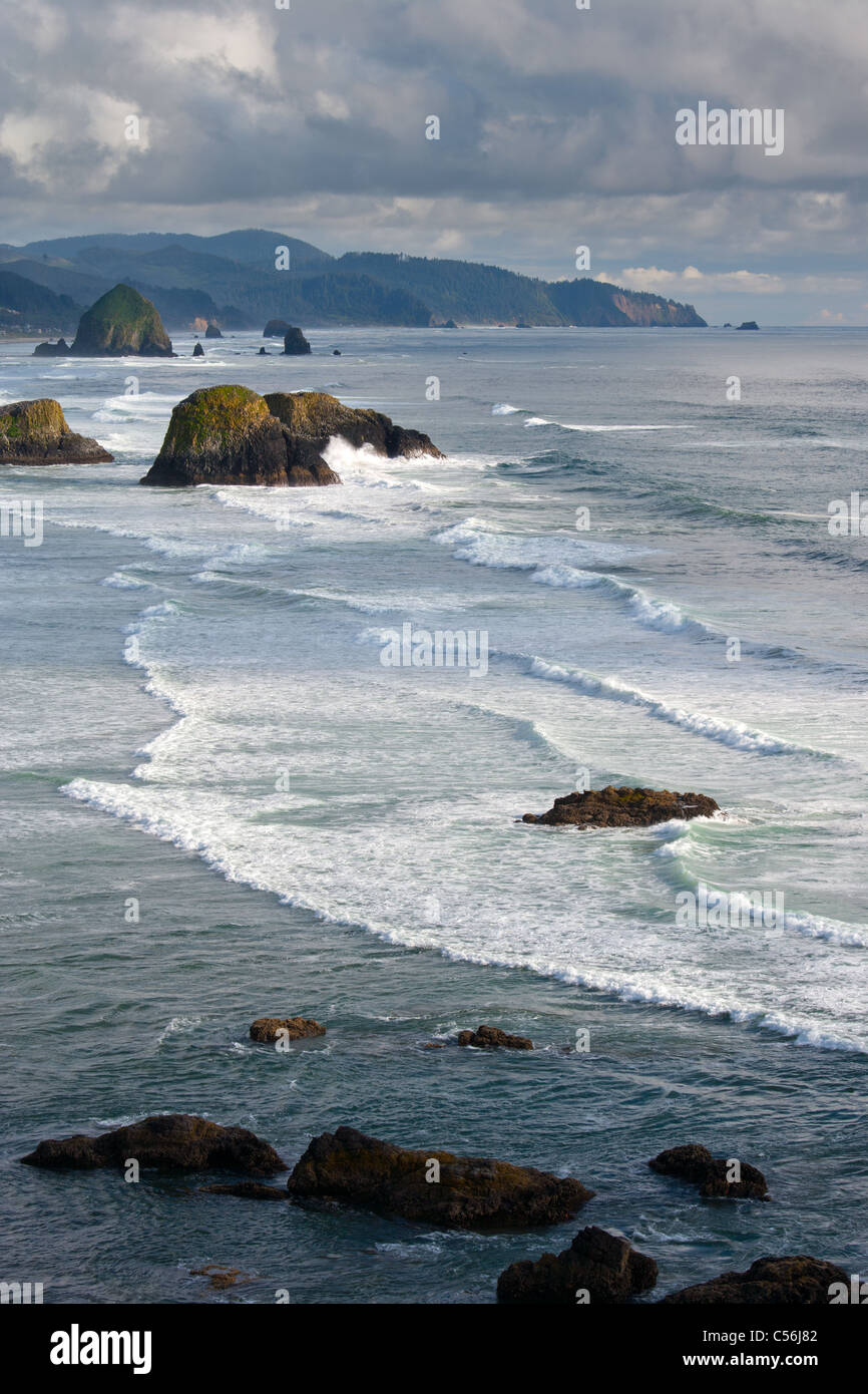 Küste von Oregon, Ecola State Park, Oregon Stockfoto