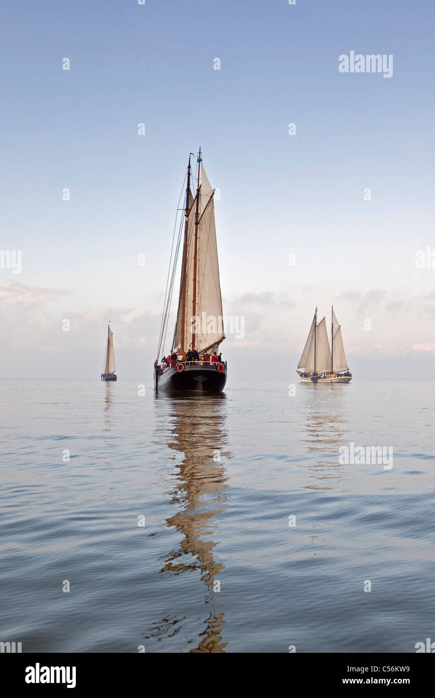 Die Niederlande, Enkhuizen. Jährliche Rennen der traditionelle Segelschiffe namens Klipperrace IJsselmeer am See genannt. Stockfoto