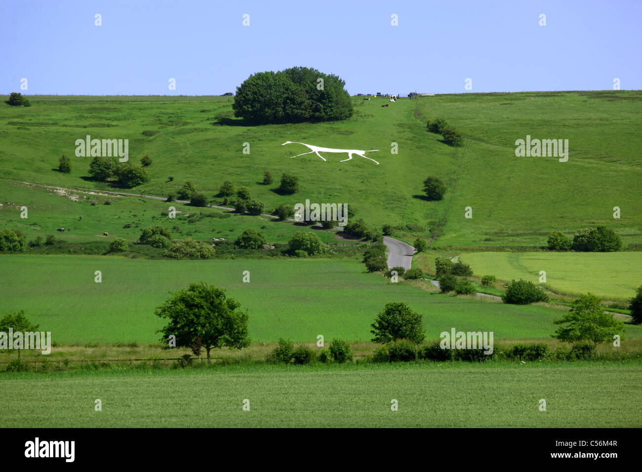 Hackpen White Horse Hackpen Hügel Wiltshire England UK Stockfoto