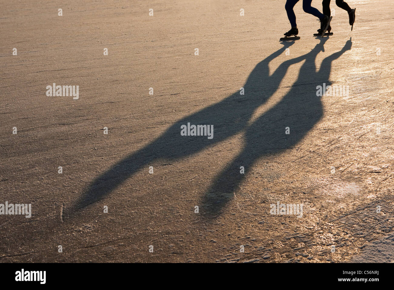 Niederlande, Loosdrecht, Schatten der 2 Personen Eislaufen. Stockfoto