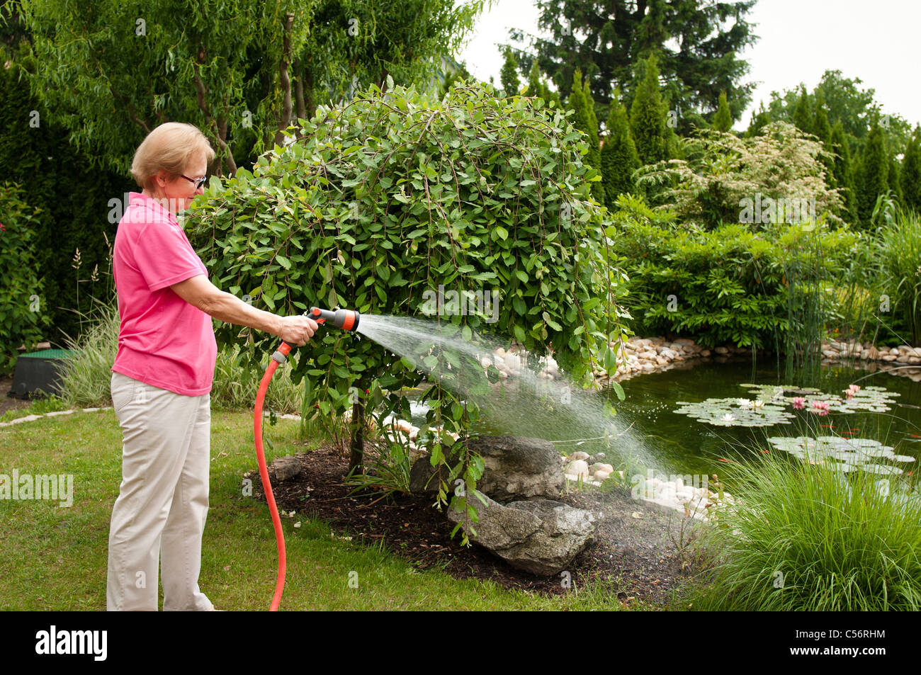 Ältere Frau Bewässerung Garten Stockfoto