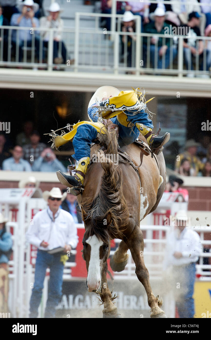 Calgary Stampede Rodeo Stockfoto