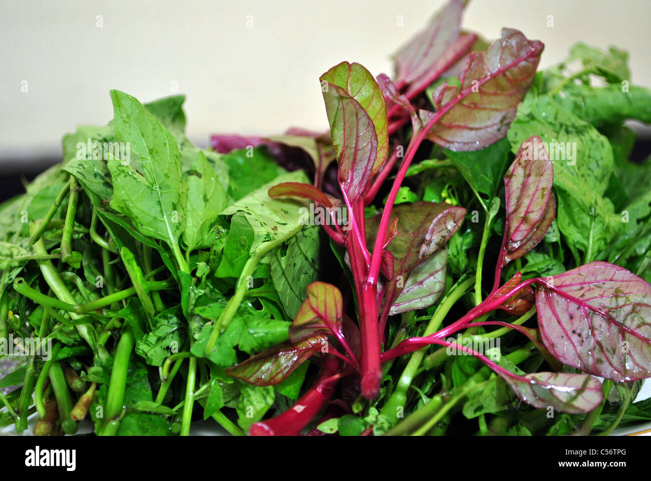 Eine Auswahl an grünem Blattgemüse Stockfoto