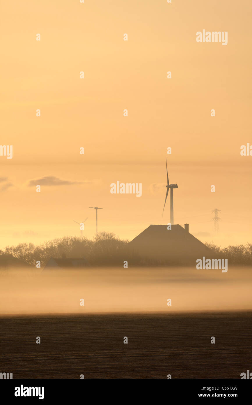 Die Niederlande, Callantsoog, Farm im Morgennebel. Stockfoto